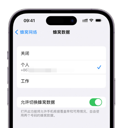 云溪苹果维修服务分享如何在iPhone上使用双卡 